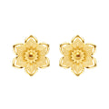Earring - 111E4367